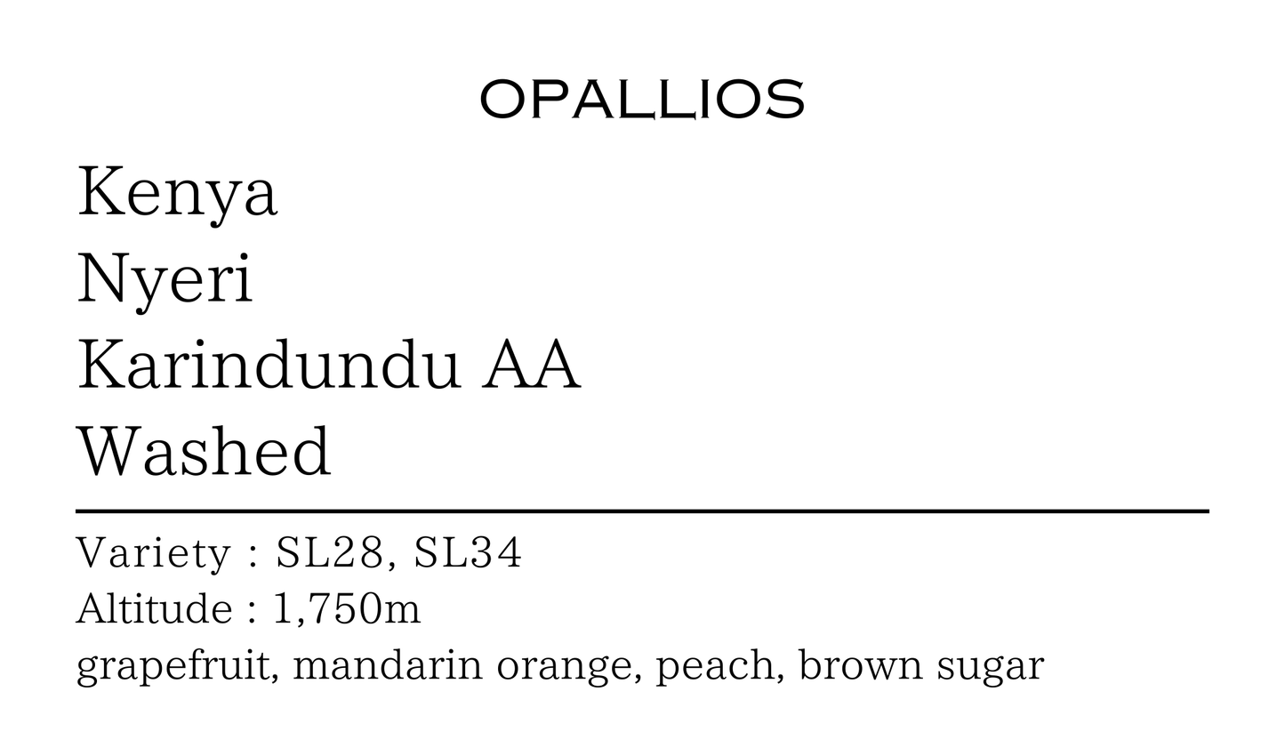 ケニア ニエリ カリンドゥンドゥAA ウォッシュド 100g